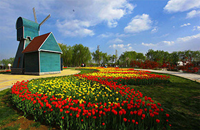 植物保护专业解读