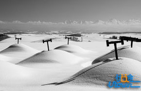 文综，我是这样拿到270分的！满满的干货