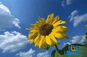 差生同样可以上名校