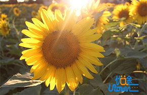 失利不失望 放松不放纵