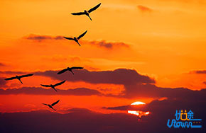 《倔强》：逆风的方向，更适合飞翔