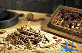 把把“中医”这条脉