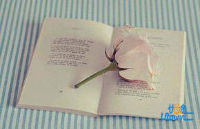 《毕业生生存指南》：你的职场生涯准备好了吗？