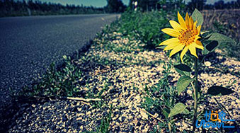 人生尚未过半，激情怎能用完？