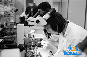 2017年32个信息领域国家重点实验室将进行评估!