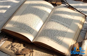 阅读理解：先看题目还是文章？