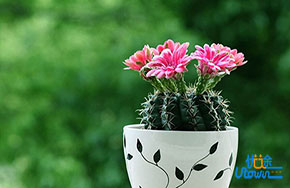 快递小哥成长故事