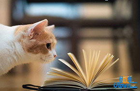 下班后为什么还要努力学习？