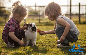 这几种情况告诉你，好朋友之间为什么变淡了