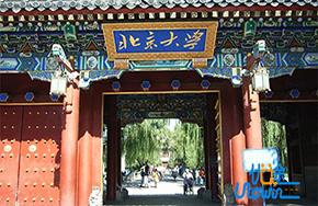 北大：非学历继续教育培训停止与社会机构合作办学