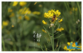 脱口秀女王奥普拉：钻石的价值不由他人决定