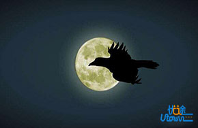 在黑暗中更要飞翔