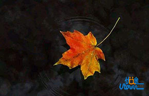 亲爱的，生气的话要轻声说