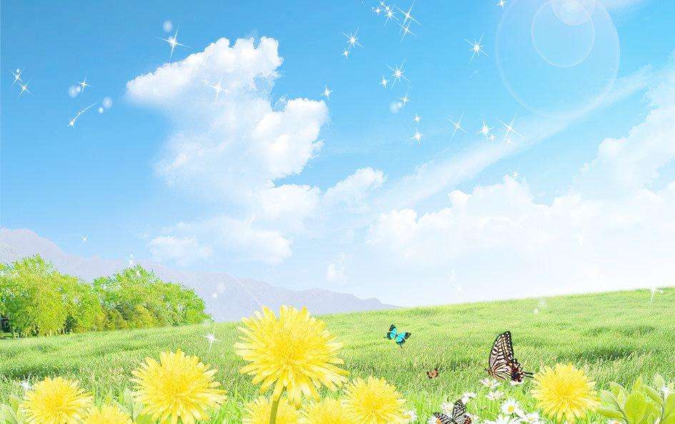 范雨素：不相信文字能改变生活，我习惯了靠苦力谋生