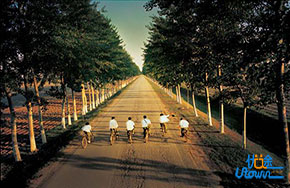 好朋友有了新朋友，我为什么会感到难受？