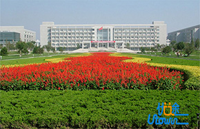 山东农业大学最新Nature子刊：成功克隆国宝级小麦基因!