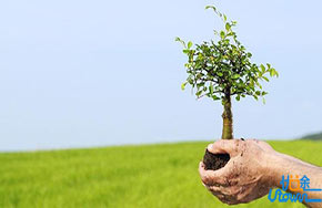 低质量专利阻碍创新！上海加快培养知识产权应用型人才