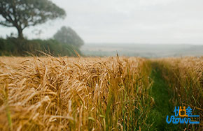 正能量的成语故事
