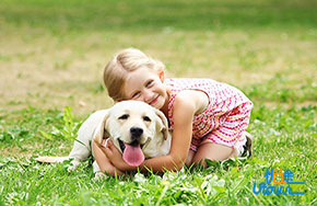 低声吼叫就能解决的问题，绝不咬人