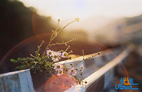 总有一些人，根本不希望你活得比他们努力