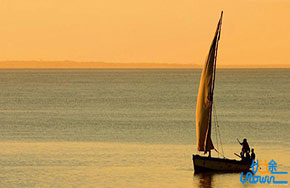 迷茫了，该怎么办？