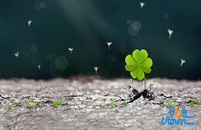 林徽因笔下的十段美文