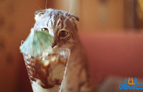 那个决定不考大学的女孩，最后怎么样了？