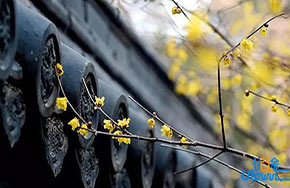 你的心态，决定你的状态