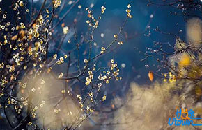 读书到底有什么用？