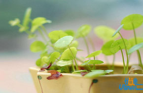 如何运用已有的素材写出满分作文？！