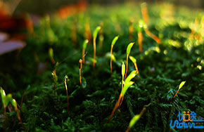 释放学习压力最实用的十一个方法！