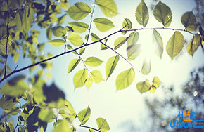 考生常见的5大心理症状及应对策略