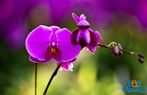 高考英语怎么利用好真题复习！