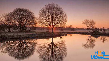 四步搞定文言文阅读，期末高分不再难