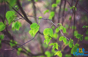 准高三党，你有这些焦虑吗？