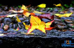 从学生视角谈学习语文，她是我见过说得最赞的！