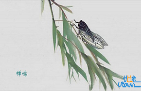 高考放榜后，蝉鸣了一整天