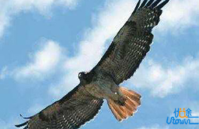 自我激励的20个方法