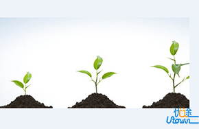 真正的成长，就是不再急于成长