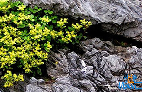 面对挫折，请选择坚强