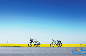 人怕交错友，心怕给错人