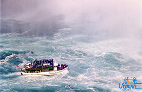 做逆流而上的鱼