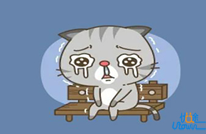 人生博弈的情绪态