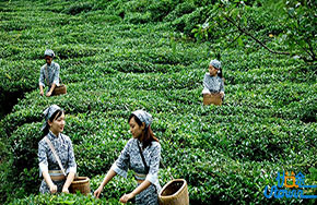 公认最难学的八大专业，航天器制造排第二，谁第一