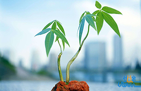 生命不在于忙碌，快乐不在于富有