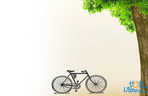 醉一场青春的流年