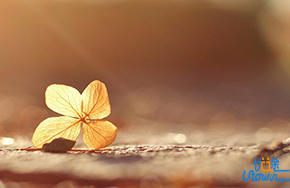 有修养，才有高尚