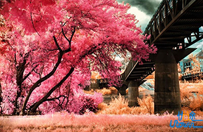 《童话镇》：畅游梦幻之中