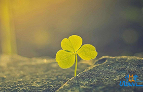 心态如何调整？