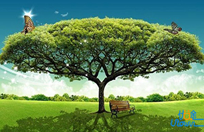 欲为大树，莫与草争！